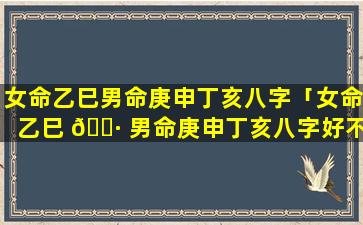 女命乙巳男命庚申丁亥八字「女命乙巳 🌷 男命庚申丁亥八字好不好」